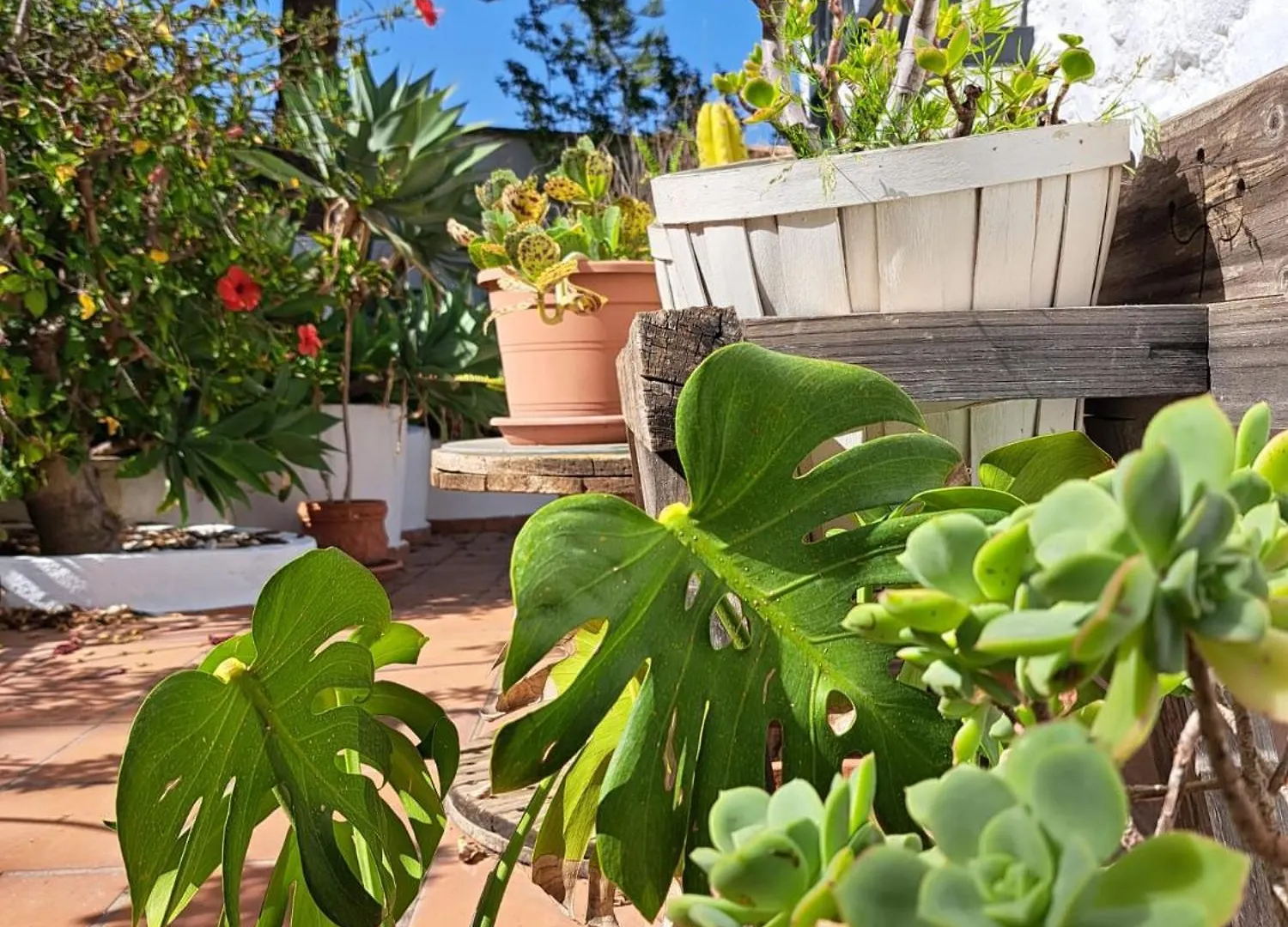 Casa Campo Mijas Costa Del Sol Malaga Holiday home